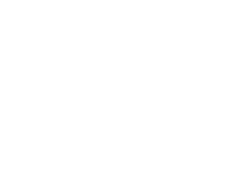 S Logo